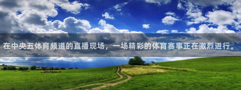在中央五体育频道的直播现场，一场精彩的体育赛事正在激烈进行。