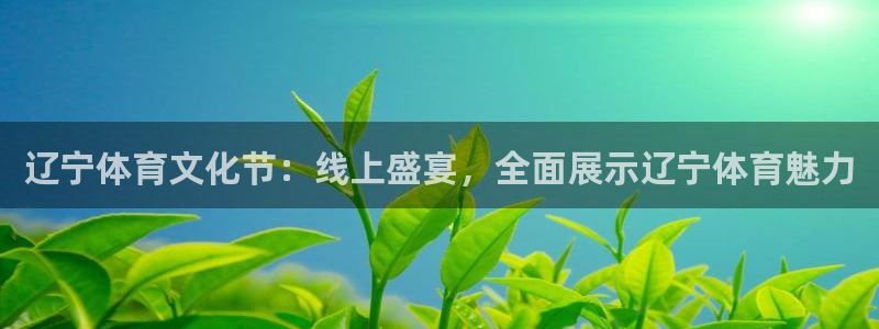 辽宁体育文化节：线上盛宴，全面展示辽宁体育魅力