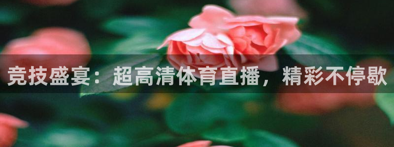 竞技盛宴：超高清体育直播，精彩不停歇