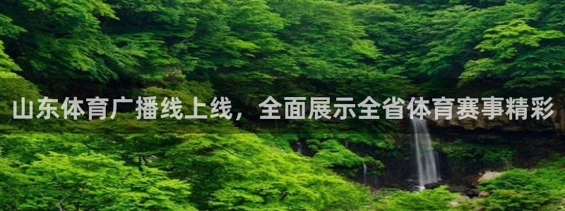 山东体育广播线上线，全面展示全省体育赛事精彩