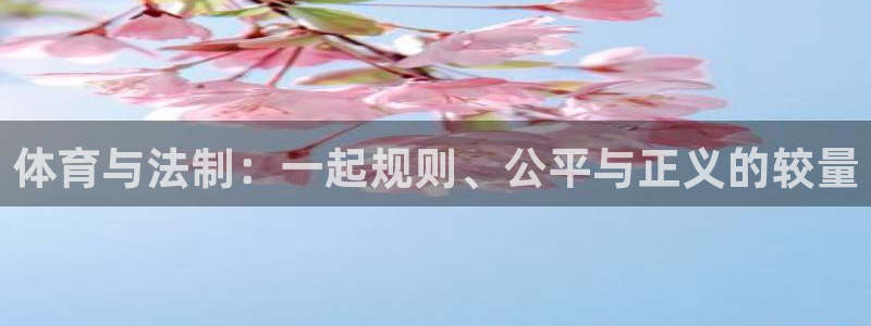 体育与法制：一起规则、公平与正义的较量