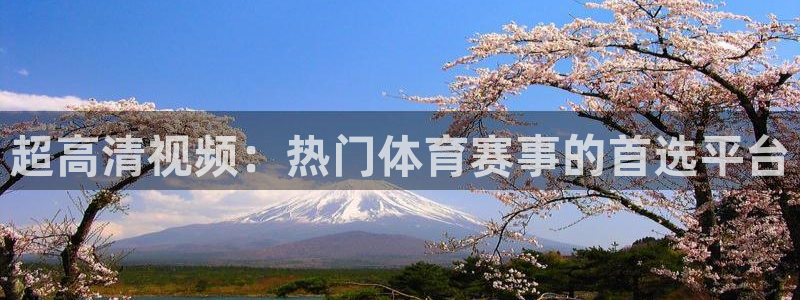 超高清视频：热门体育赛事的首选平台