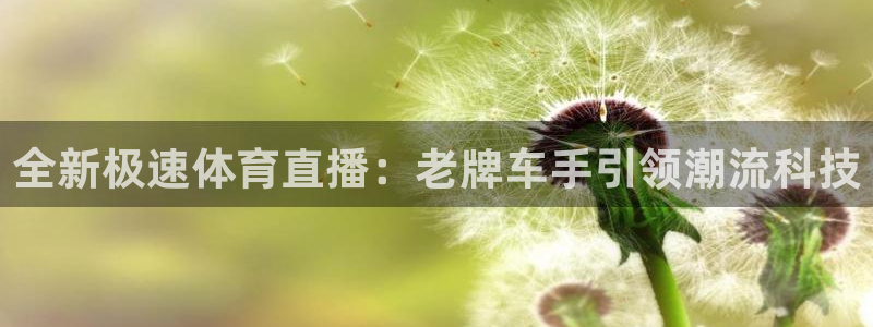 全新极速体育直播：老牌车手引领潮流科技